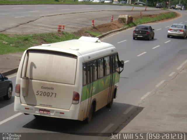 Cootarde 520071 na cidade de Candangolândia, Distrito Federal, Brasil, por Jefferson Willian da Silva de Sousa. Número da foto: #2366735.