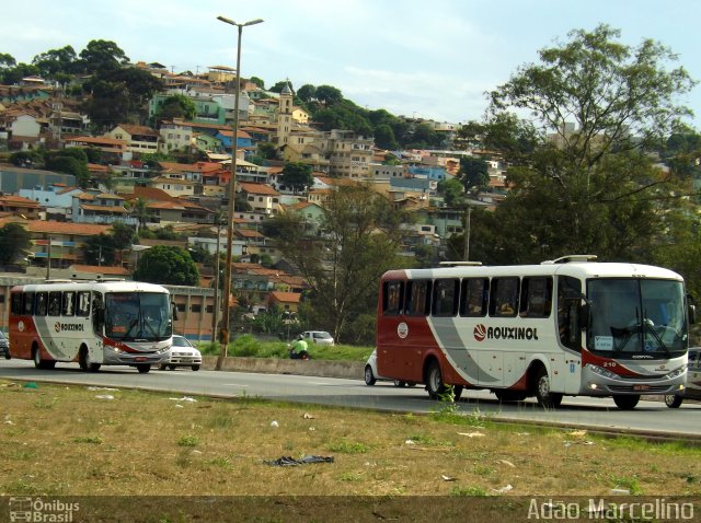 Rouxinol 210 na cidade de Belo Horizonte, Minas Gerais, Brasil, por Adão Raimundo Marcelino. ID da foto: 2368188.