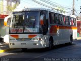 Pullman El Huique 37 na cidade de Santa Cruz, Colchagua, Libertador General Bernardo O'Higgins, Chile, por Pablo Andres Yavar Espinoza. Número da foto: #2366938.