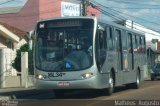 Viação Tamandaré 16L34 na cidade de Curitiba, Paraná, Brasil, por Matheus  Augusto. Número da foto: #2366505.