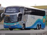 Expresso Satélite Norte 11800 na cidade de Teresina, Piauí, Brasil, por Gilberto  Sousa Nunes. Número da foto: #:id.