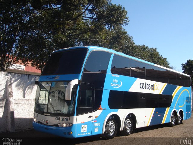 Cattani Sul Transportes e Turismo 11650 na cidade de Pato Branco, Paraná, Brasil, por Rodrigo Augusto  Vignaga. Número da foto: #2375754.