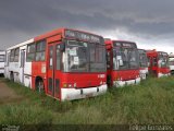 Sucata e Desmanches 4 1574 na cidade de Suzano, São Paulo, Brasil, por Felipe Gonzales. Número da foto: #2377223.