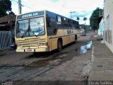 Escolares 3946 na cidade de Jequitaí, Minas Gerais, Brasil, por Lucas Santos. Número da foto: #2378873.