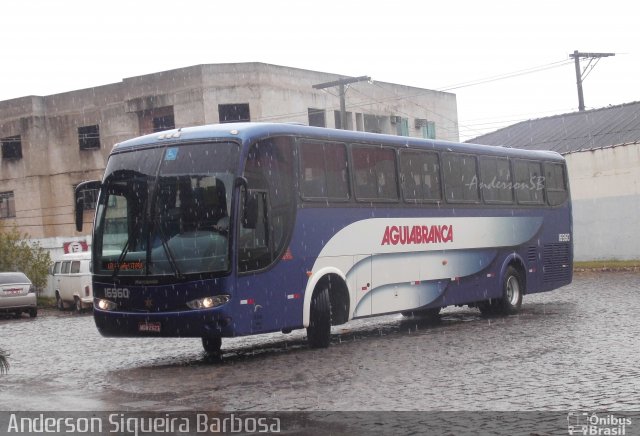 Viação Águia Branca 16960 na cidade de Colatina, Espírito Santo, Brasil, por Anderson Siqueira Barbosa. Número da foto: #2384060.