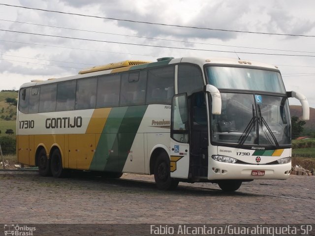 Empresa Gontijo de Transportes 17310 na cidade de Roseira, São Paulo, Brasil, por Fabio Alcantara. Número da foto: #2384971.