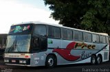 Freebus Transportes e Locadora de Veículos 3090 na cidade de Assis, São Paulo, Brasil, por Francisco Ivano. Número da foto: #2386493.