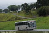 Empresa de Ônibus Campo Largo 22L21 na cidade de Campo Largo, Paraná, Brasil, por Danilo Marcelo Silva. Número da foto: #2386129.