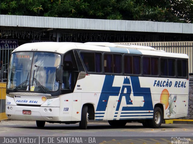 Falcão Real 1150 na cidade de Feira de Santana, Bahia, Brasil, por João Victor. ID da foto: 2388216.