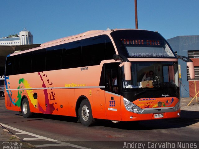 Chilebus Internacional 223 na cidade de Porto Alegre, Rio Grande do Sul, Brasil, por Andrey Carvalho Nunes. ID da foto: 2388189.