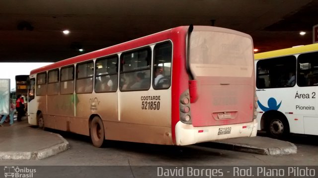 Cootarde 521850 na cidade de Brasília, Distrito Federal, Brasil, por David Borges. Número da foto: #2388035.