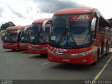 Julio Simões > CS Brasil - JSL 349 na cidade de Mairiporã, São Paulo, Brasil, por Johnny Ferreira. Número da foto: #2387532.