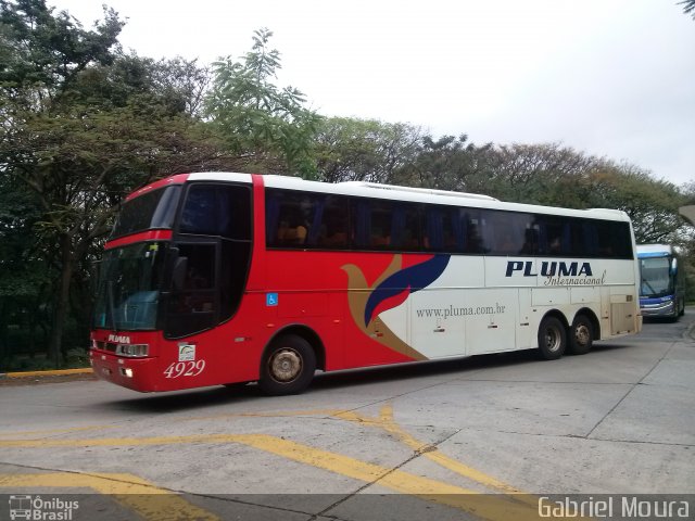 Pluma Conforto e Turismo 4929 na cidade de São Paulo, São Paulo, Brasil, por Gabriel Moura. Número da foto: #2388601.