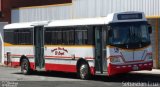 Empresa Hermanos Bonilla El Coyol AB 6224 na cidade de , por Sebastián Cruz. Número da foto: #2344684.