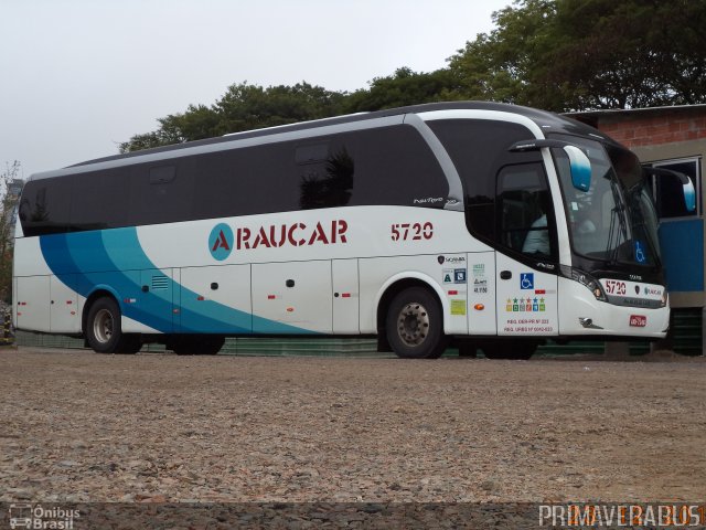 Araucar Locação de Veículos 5720 na cidade de Curitiba, Paraná, Brasil, por Alexandre Rodrigo. Número da foto: #2347581.