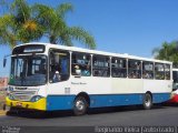 Empresa de Ônibus Pássaro Marron 1584 na cidade de Aparecida, São Paulo, Brasil, por Diego Leão. ID da foto: :id.