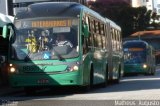 Transporte Coletivo Glória BB601 na cidade de Curitiba, Paraná, Brasil, por Matheus  Augusto. Número da foto: #2349198.