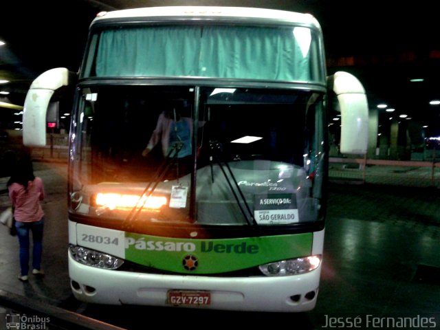 Pássaro Verde 28034 na cidade de Belo Horizonte, Minas Gerais, Brasil, por Jessé Fernandes. Número da foto: #2351055.