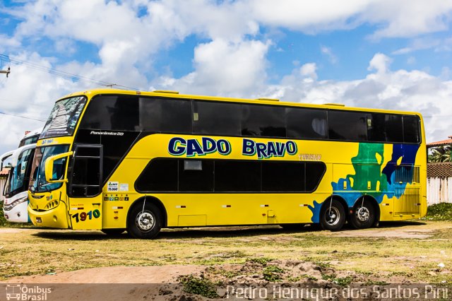 Gado Bravo Turismo 7910 na cidade de Maceió, Alagoas, Brasil, por Pedro Henrique dos Santos Pini. ID da foto: 2353742.