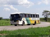 Empresa Gontijo de Transportes 9500 na cidade de Vitória da Conquista, Bahia, Brasil, por Fabricio Zulato. Número da foto: #2356379.