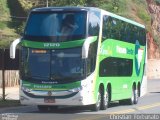 Pássaro Verde 12120 na cidade de Coimbra, Minas Gerais, Brasil, por Christian  Fortunato. Número da foto: #:id.