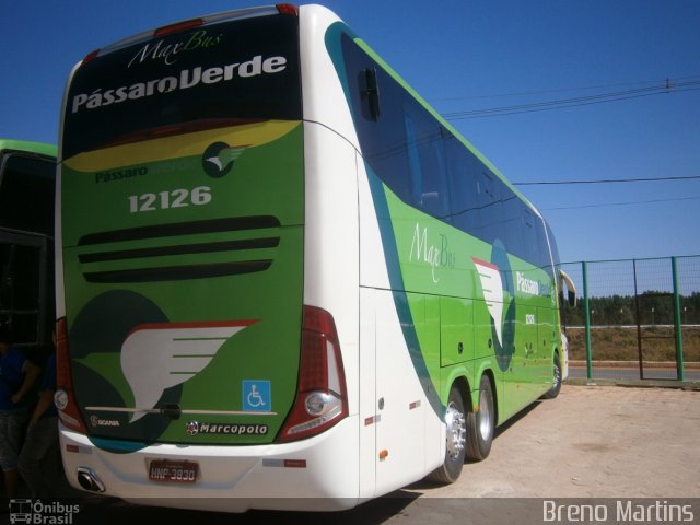 Pássaro Verde 12126 na cidade de Capelinha, Minas Gerais, Brasil, por Breno Martins. Número da foto: #2392071.