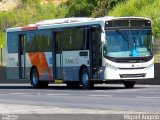 Evanil Transportes e Turismo RJ 132.114 na cidade de Nova Iguaçu, Rio de Janeiro, Brasil, por Miguel Angelo. Número da foto: #2412482.