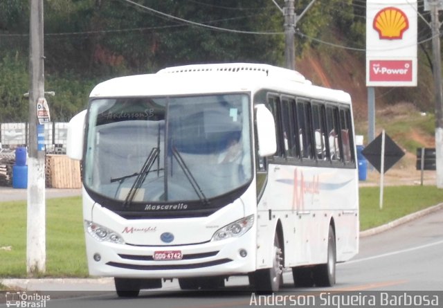 Meneghel 4742 na cidade de João Neiva, Espírito Santo, Brasil, por Anderson Siqueira Barbosa. ID da foto: 2414457.