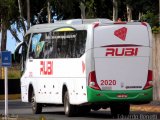 Expresso Rubi 2020 na cidade de Cuiabá, Mato Grosso, Brasil, por Eduardo Benetti . Número da foto: #2414033.