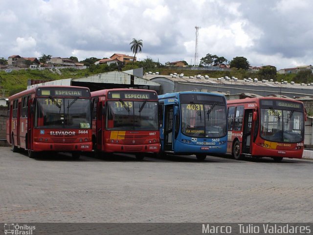 Salvadora Transportes > Transluciana 5664 na cidade de Belo Horizonte, Minas Gerais, Brasil, por Marco  Tulio. Número da foto: #2416824.