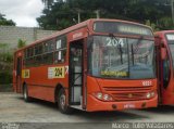 Salvadora Transportes > Transluciana 9521 na cidade de Belo Horizonte, Minas Gerais, Brasil, por Marco  Tulio. Número da foto: #:id.