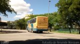 Viação Lírio dos Vales 7300 na cidade de Vitória, Espírito Santo, Brasil, por Rafaella de Resende Marques. ID da foto: :id.