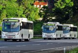 Ônibus Particulares 6429 na cidade de Petrópolis, Rio de Janeiro, Brasil, por Victor Schanuel. Número da foto: #:id.