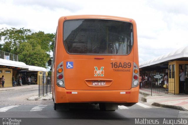 Viação Tamandaré 16A89 na cidade de Curitiba, Paraná, Brasil, por Matheus  Augusto. Número da foto: #2425619.
