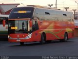 Pullman del Sur 105 na cidade de Santa Cruz, Colchagua, Libertador General Bernardo O'Higgins, Chile, por Pablo Andres Yavar Espinoza. Número da foto: #2426253.