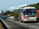Rouxinol 290 na cidade de Belo Horizonte, Minas Gerais, Brasil, por Adão Raimundo Marcelino. Número da foto: #2429511.