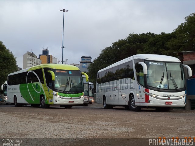 Auto Viação Catarinense 3323 na cidade de Curitiba, Paraná, Brasil, por Alexandre Rodrigo. Número da foto: #2394573.