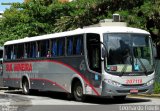 Sul Mineira Transportes 207119 na cidade de São Paulo, São Paulo, Brasil, por Leonardo Fidelli. Número da foto: #:id.