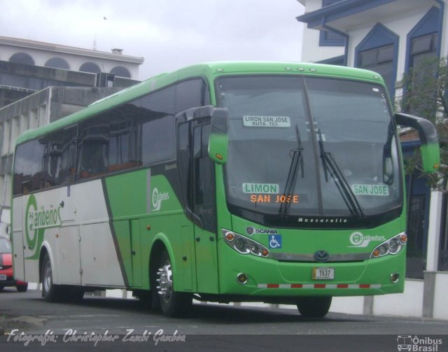 Caribeños LB 1537 na cidade de , por Christopher Gamboa. Número da foto: #2432633.