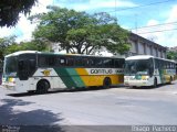 Empresa Gontijo de Transportes 10250 na cidade de Belo Horizonte, Minas Gerais, Brasil, por Thiago  Pacheco. Número da foto: #2434714.