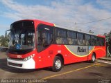 Maluri Transporte Escolar e Fretamento 1401 na cidade de Botucatu, São Paulo, Brasil, por Alexandre  Luis de Oliveira. Número da foto: #2437767.