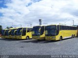 Viação Itapemirim 8033 na cidade de Belo Horizonte, Minas Gerais, Brasil, por Maurício Nascimento. Número da foto: #2437830.