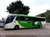 Pássaro Verde 1049 na cidade de Mariana, Minas Gerais, Brasil, por César Natividade. Número da foto: #:id.