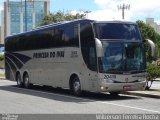 Princesa do Ivaí 20410 na cidade de Curitiba, Paraná, Brasil, por Wilberson Ferreira Rocha. Número da foto: #2440289.
