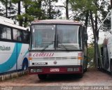 Ciarelli Viagens e Turismo 6330 na cidade de Valinhos, São Paulo, Brasil, por Pedro Henrique Gumercindo da Silva. Número da foto: #2441367.