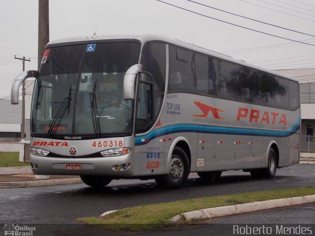 Expresso de Prata 460318 na cidade de Marília, São Paulo, Brasil, por Roberto Mendes. Número da foto: #2446836.