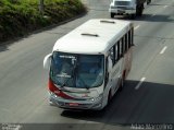 Rouxinol 425 na cidade de Belo Horizonte, Minas Gerais, Brasil, por Adão Raimundo Marcelino. Número da foto: #:id.