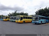 SM Transportes 50079 na cidade de Belo Horizonte, Minas Gerais, Brasil, por Adão Raimundo Marcelino. Número da foto: #2449265.