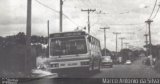 Transerp - Empresa de Transportes Urbanos de Ribeirão Preto 1021 na cidade de Ribeirão Preto, São Paulo, Brasil, por Marco Antonio da Silva. Número da foto: #2449252.