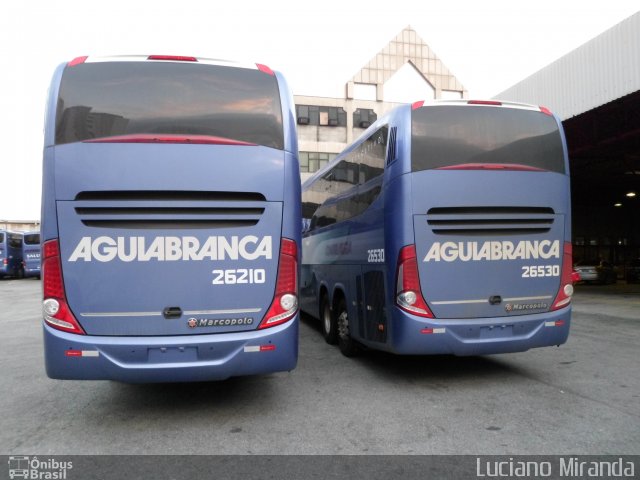 Viação Águia Branca 26210 na cidade de São Paulo, São Paulo, Brasil, por Luciano Miranda. Número da foto: #2451189.
